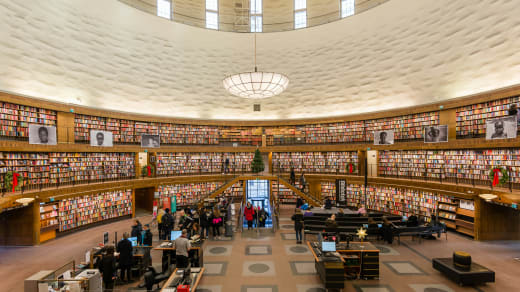 Bibliotek